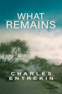 What Remains by Charles Entrekin Cover
