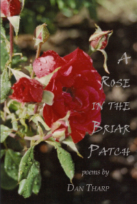 A Rose in the Briar Patch by Dan Tharp