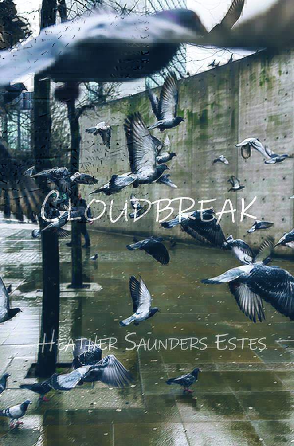 Cloudbreak by Heather Saunders Estes