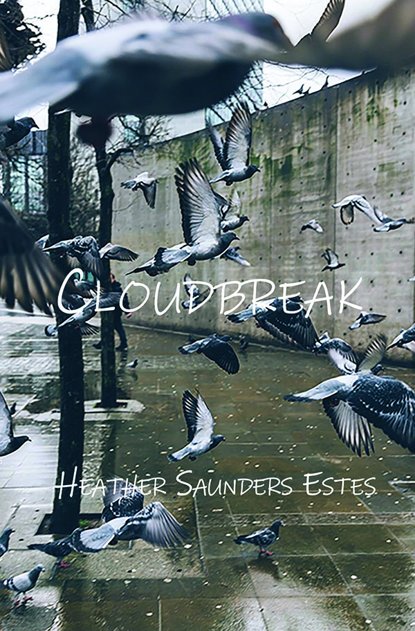 CloudBreak by Heather Saunders Estes