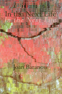 In The Next Life by Joan Baranow Cover