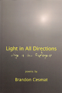 Light in All Directions by Brandon Cesmat