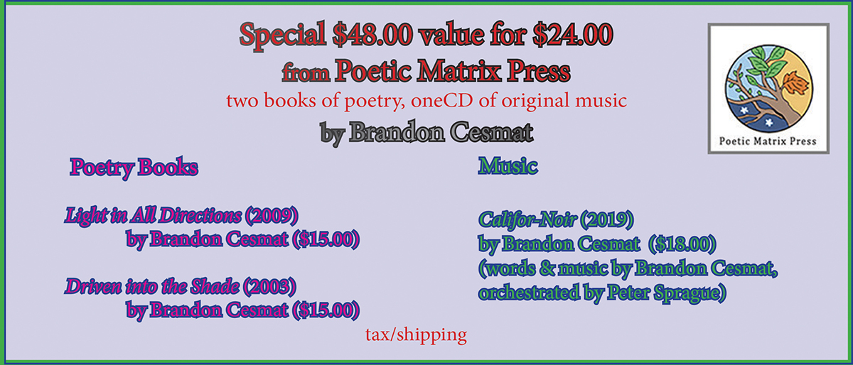 Special $48 value for $24 from Poetic Matrix Press - Two books of poetry, one CD of original music by Brandon Cesmat.